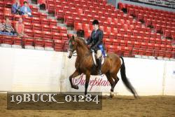 19BUCK_01284 proof