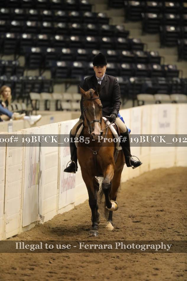Proof 19BUCK_01285