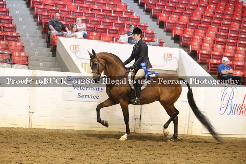 Proof 19BUCK_01286