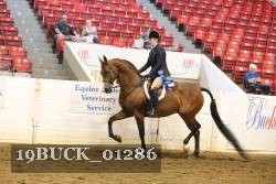 19BUCK_01286 proof