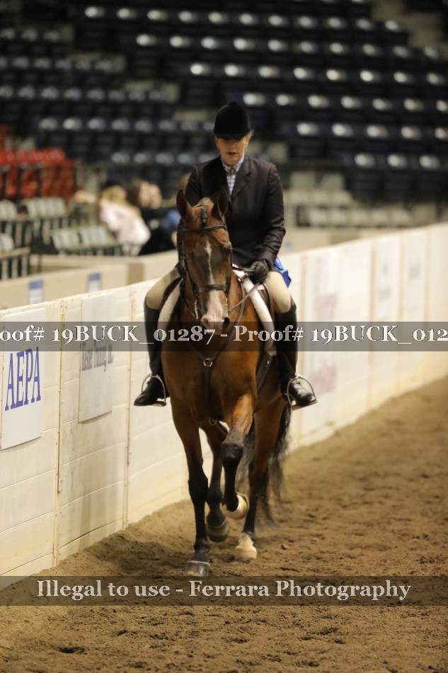 Proof 19BUCK_01287