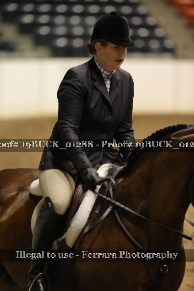 Proof 19BUCK_01288