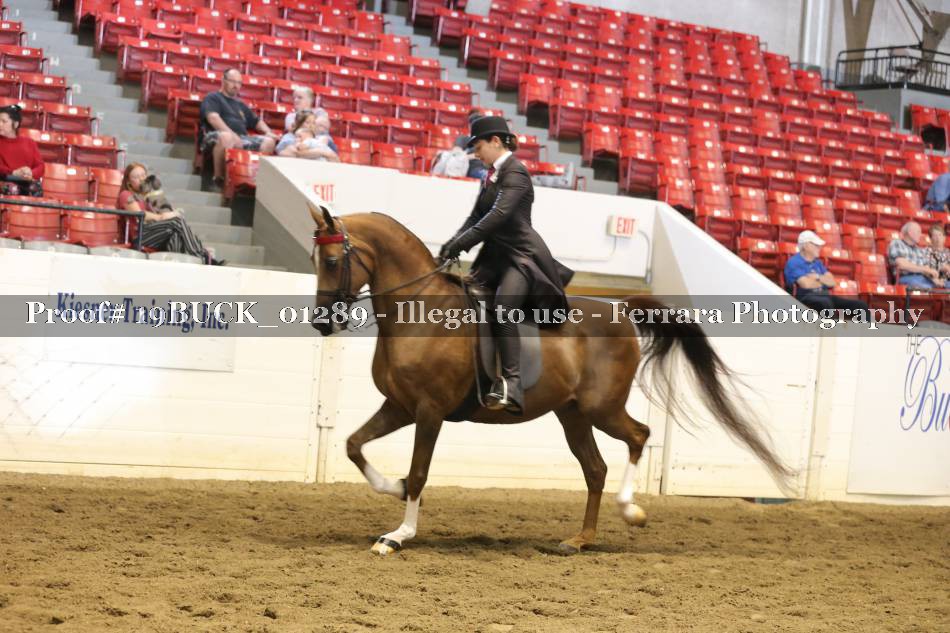 Proof 19BUCK_01289