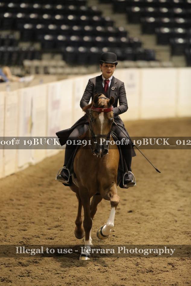 Proof 19BUCK_01291