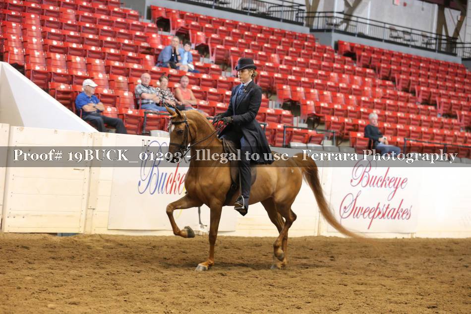 Proof 19BUCK_01293