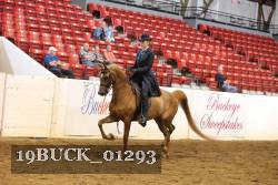 19BUCK_01293 proof
