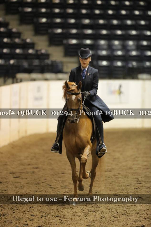 Proof 19BUCK_01294