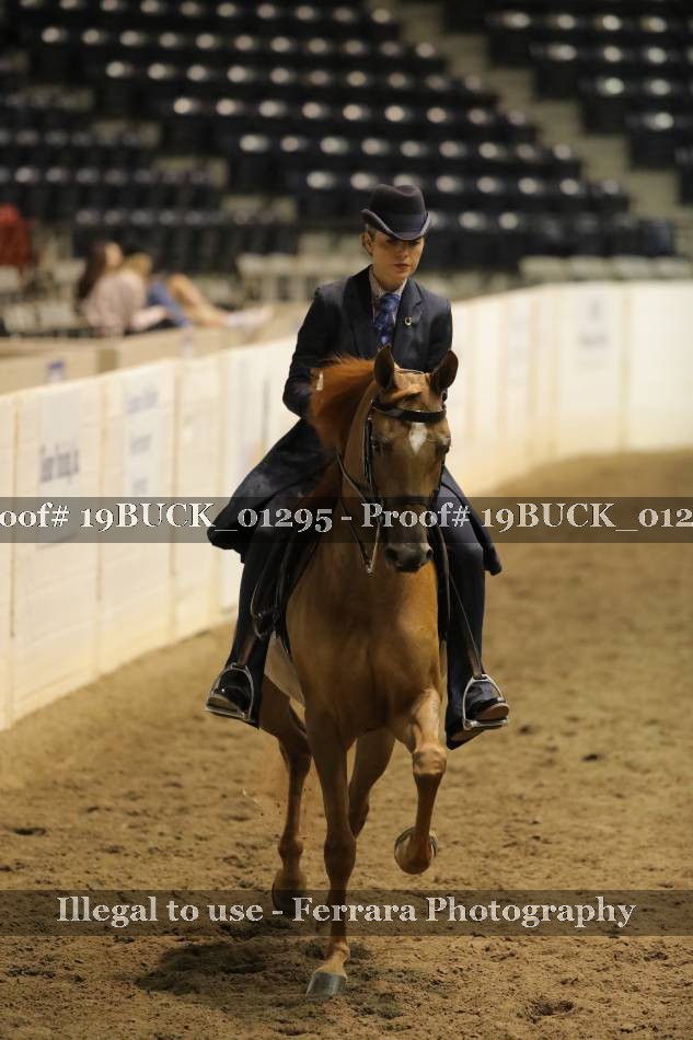 Proof 19BUCK_01295