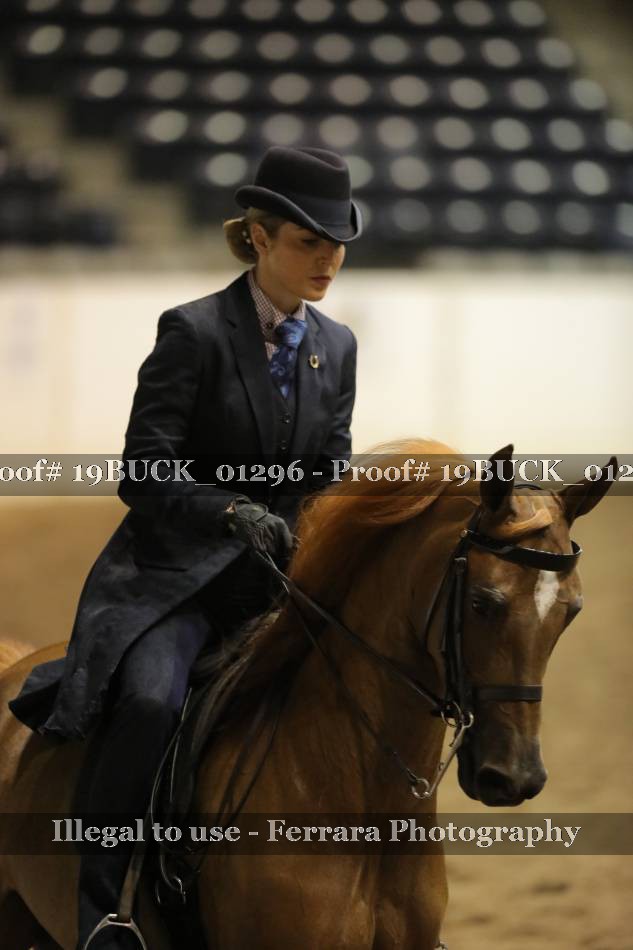 Proof 19BUCK_01296