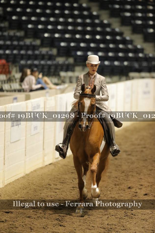 Proof 19BUCK_01298