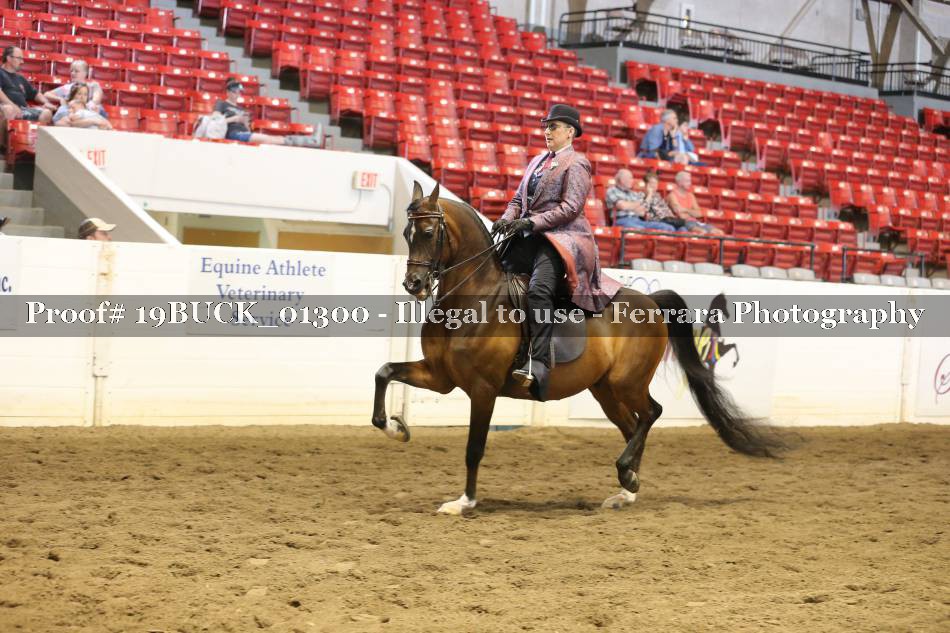 Proof 19BUCK_01300