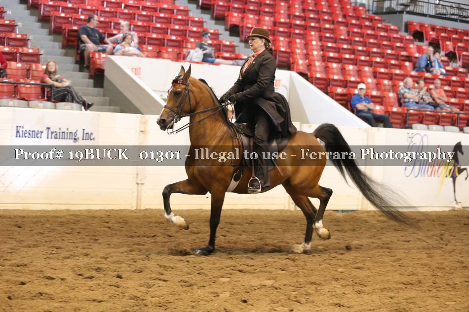 Proof 19BUCK_01301