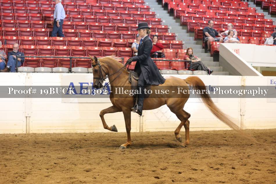 Proof 19BUCK_01302