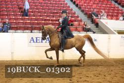 19BUCK_01302 proof