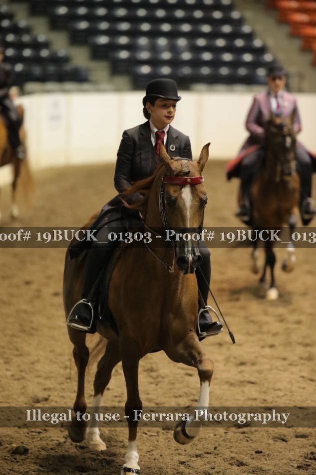 Proof 19BUCK_01303