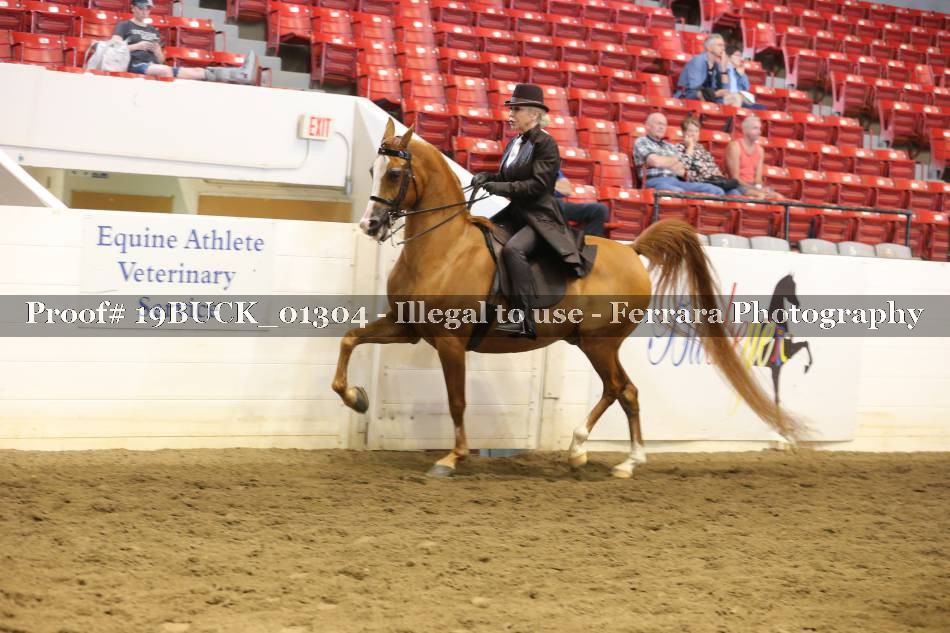 Proof 19BUCK_01304