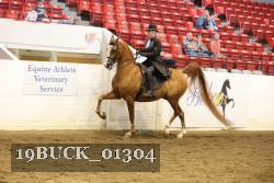 19BUCK_01304 proof