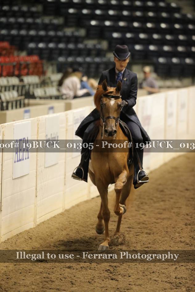 Proof 19BUCK_01305