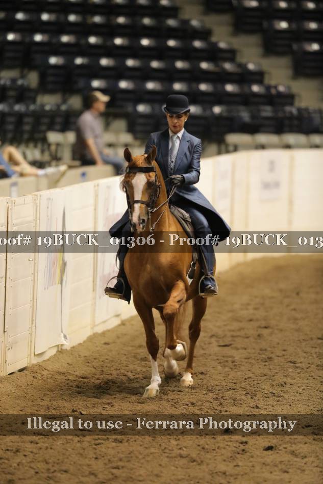 Proof 19BUCK_01306