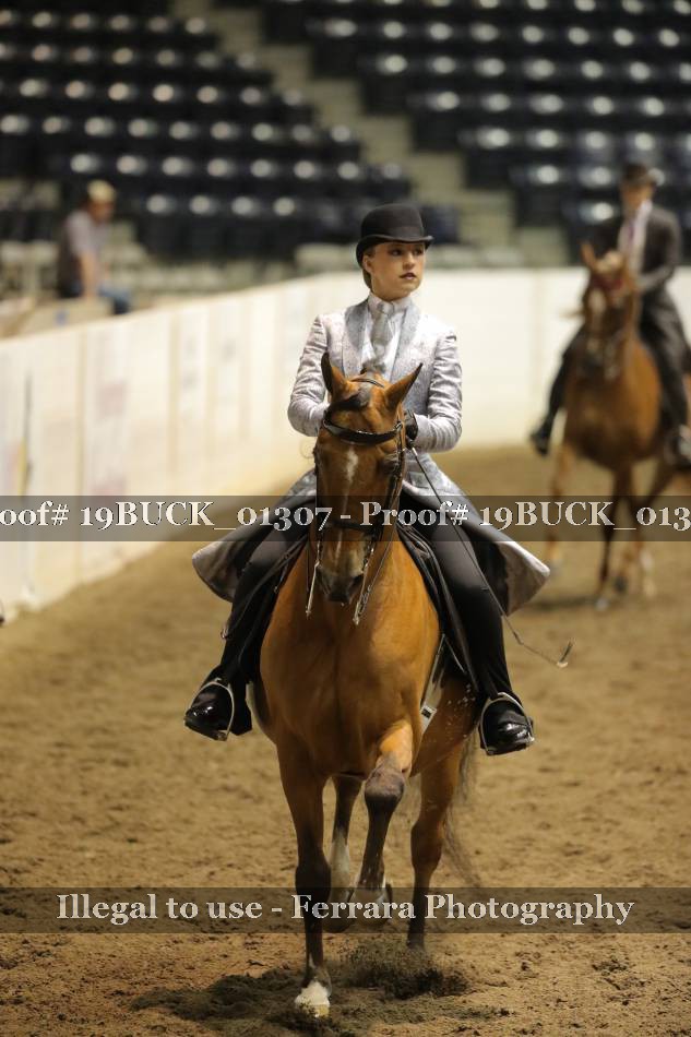 Proof 19BUCK_01307