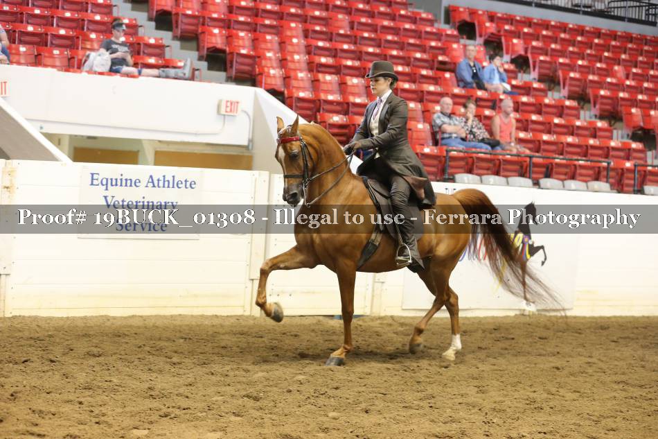 Proof 19BUCK_01308