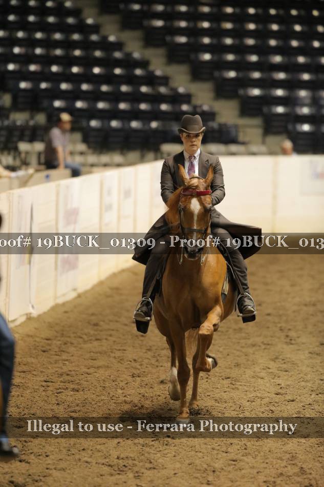 Proof 19BUCK_01309