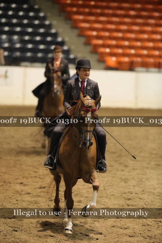 Proof 19BUCK_01310