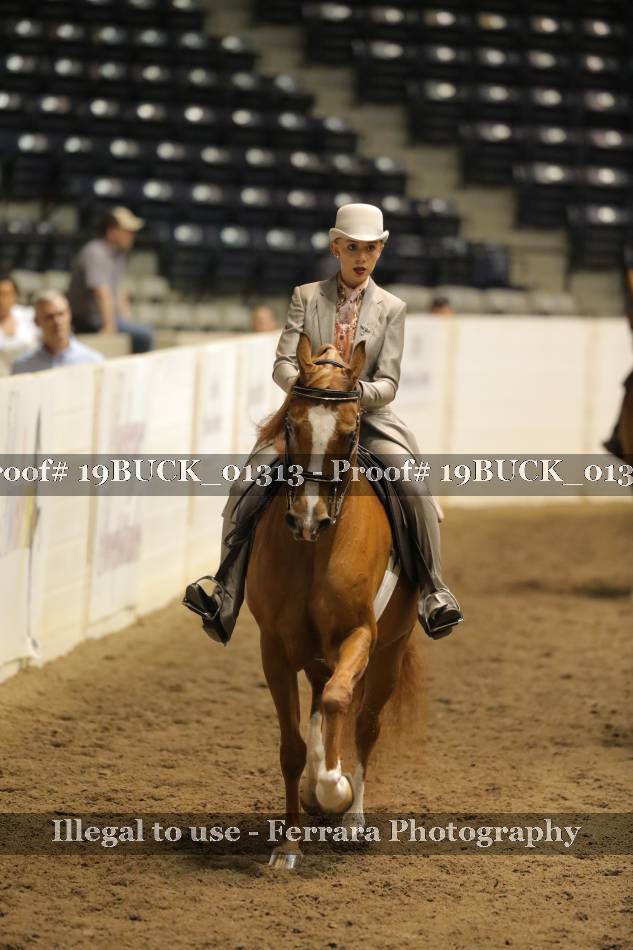 Proof 19BUCK_01313