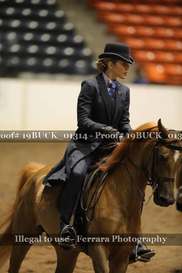Proof 19BUCK_01314