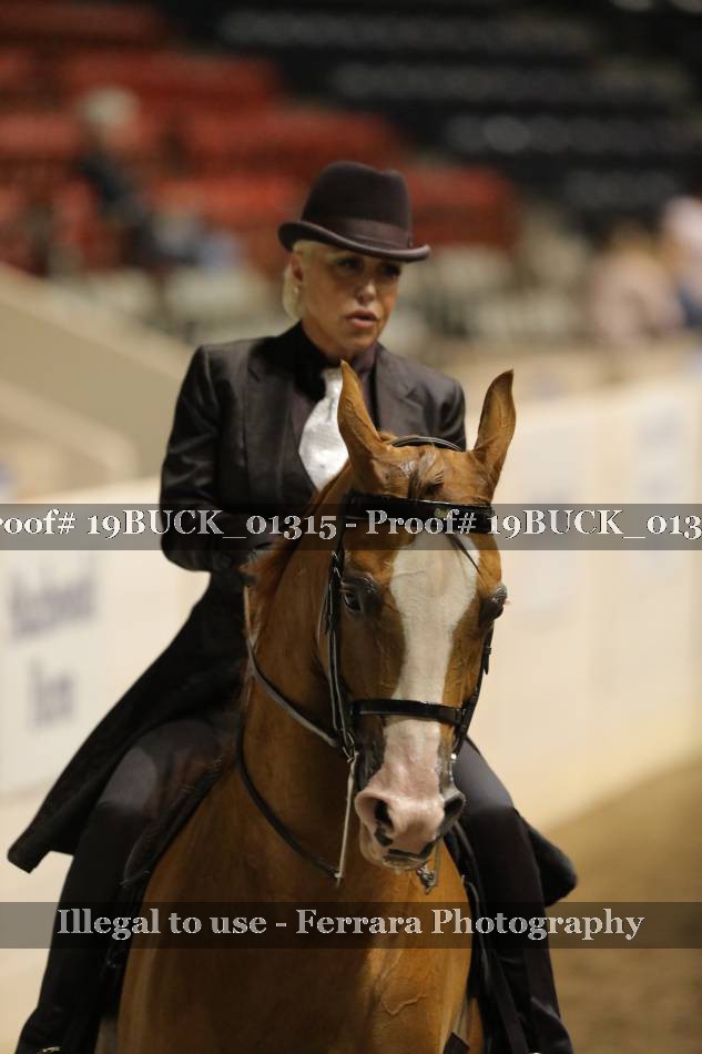 Proof 19BUCK_01315