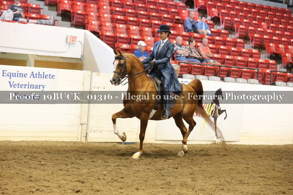 Proof 19BUCK_01316