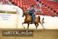 19BUCK_01316 proof
