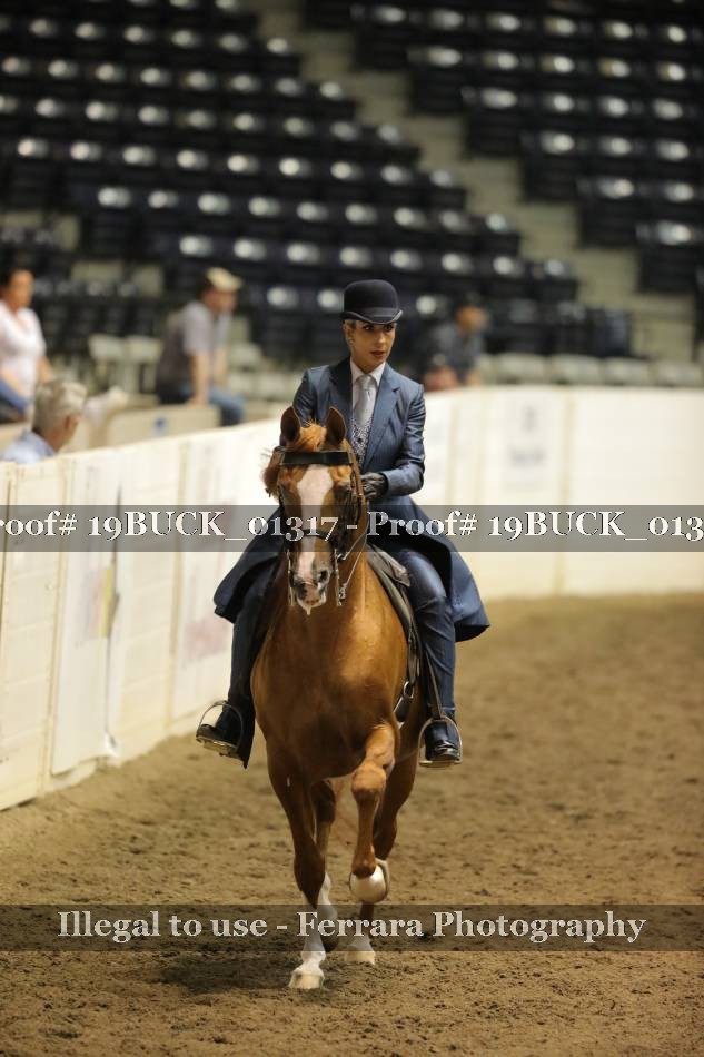Proof 19BUCK_01317