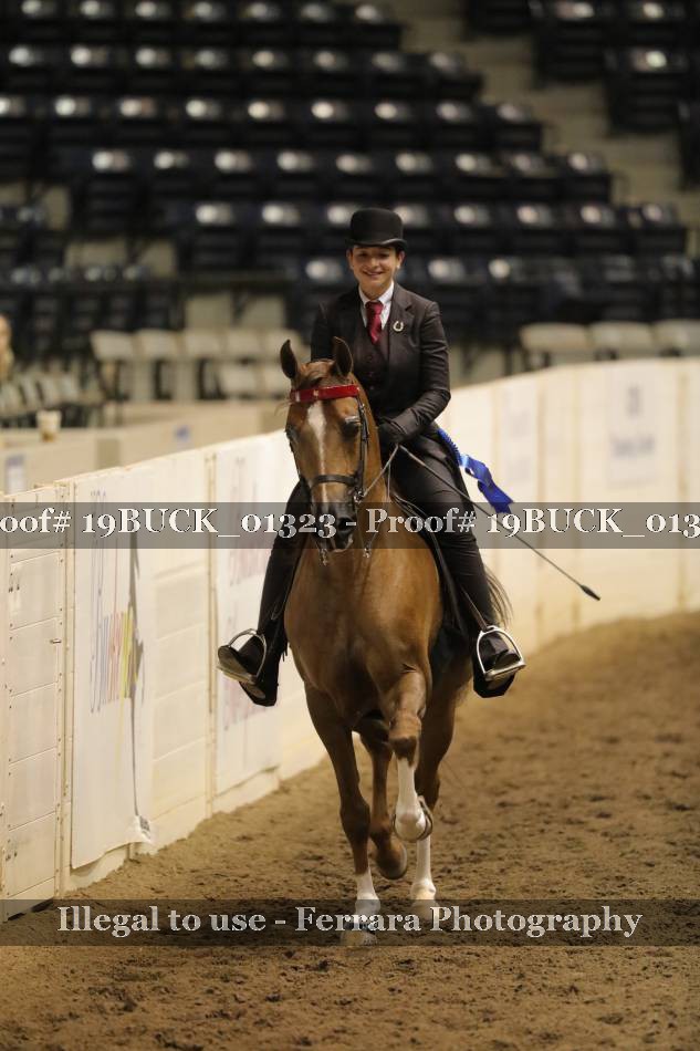 Proof 19BUCK_01323