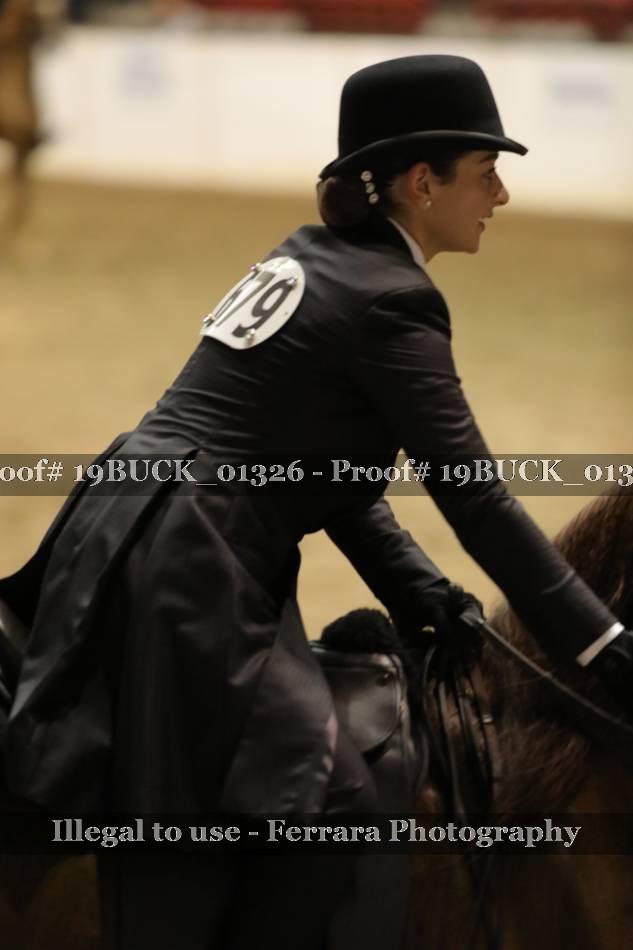 Proof 19BUCK_01326