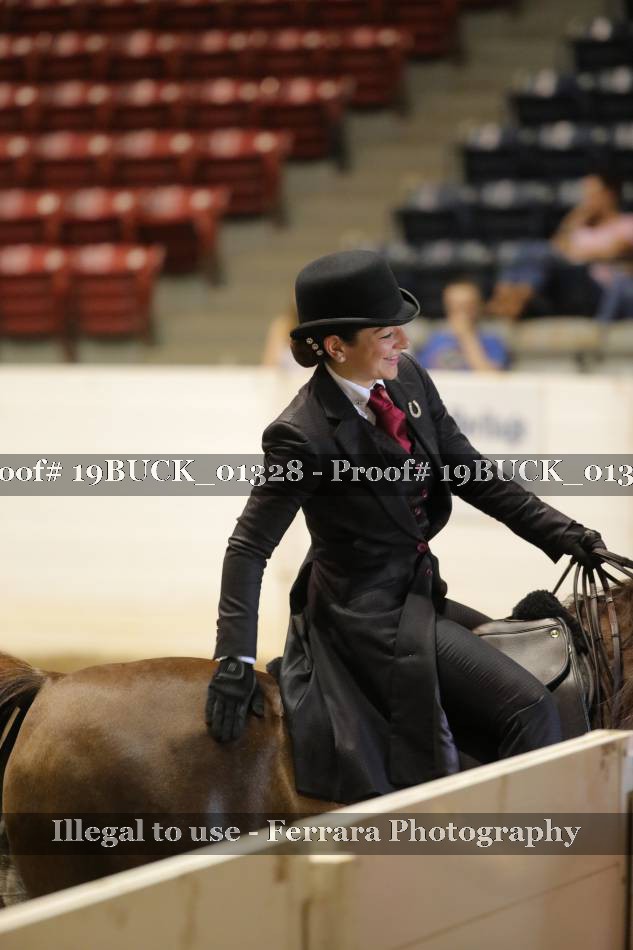 Proof 19BUCK_01328