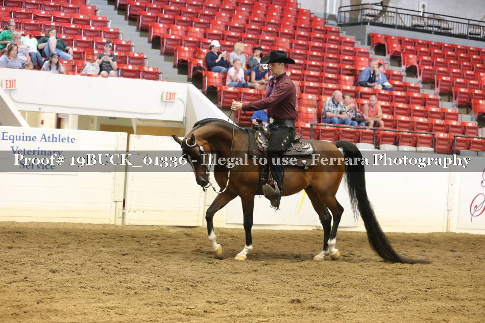 Proof 19BUCK_01336