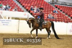 19BUCK_01336 proof