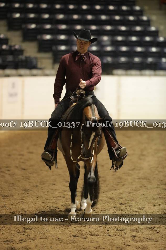 Proof 19BUCK_01337