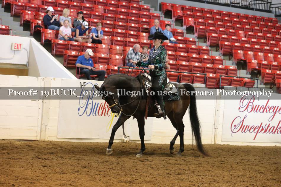 Proof 19BUCK_01339