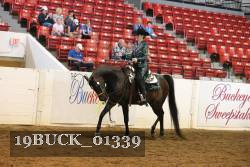 19BUCK_01339 proof
