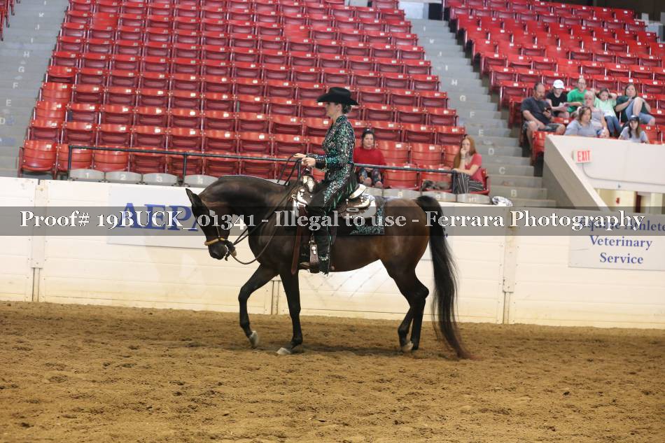 Proof 19BUCK_01341