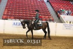 19BUCK_01341 proof