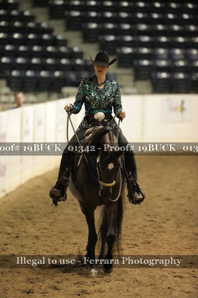 Proof 19BUCK_01342