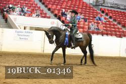 19BUCK_01346 proof
