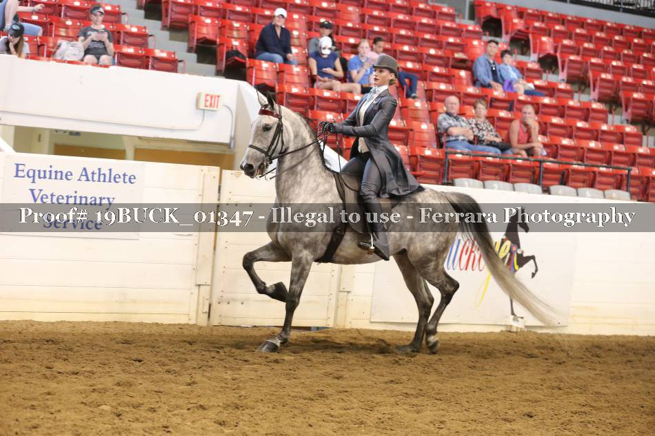 Proof 19BUCK_01347