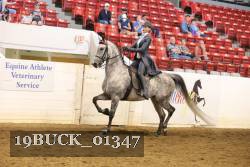 19BUCK_01347 proof