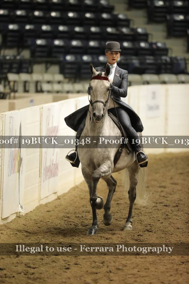 Proof 19BUCK_01348