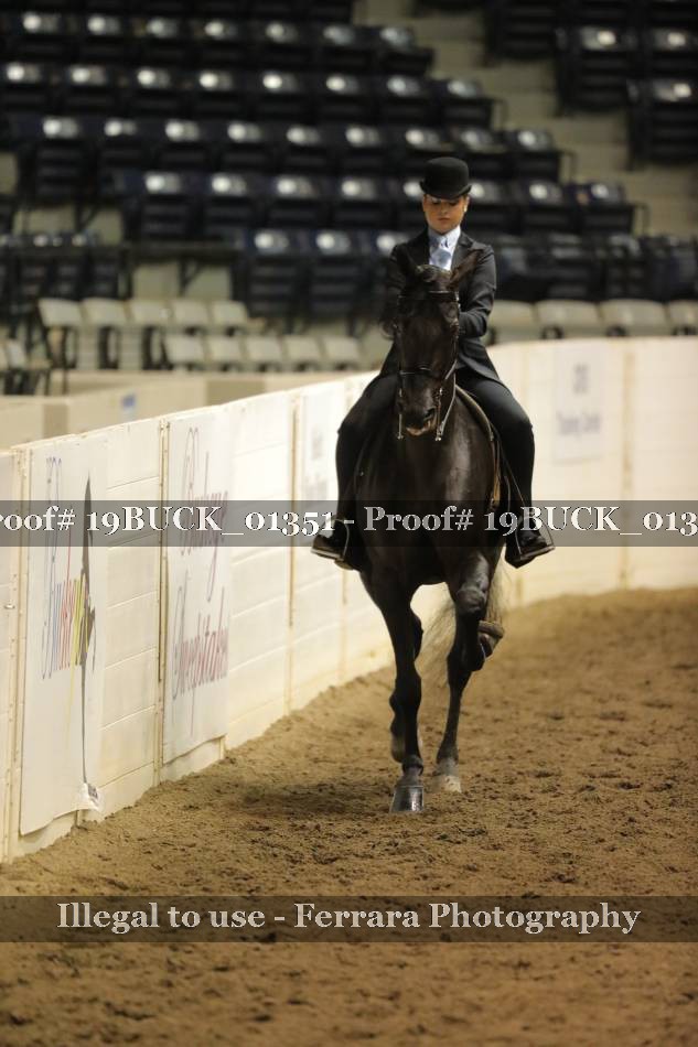 Proof 19BUCK_01351