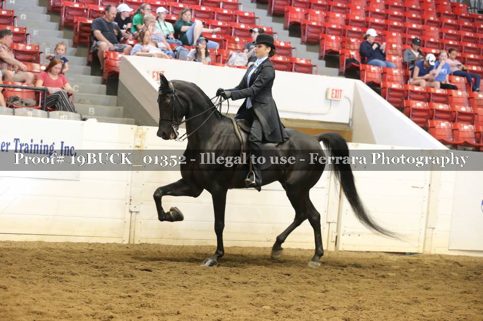 Proof 19BUCK_01352